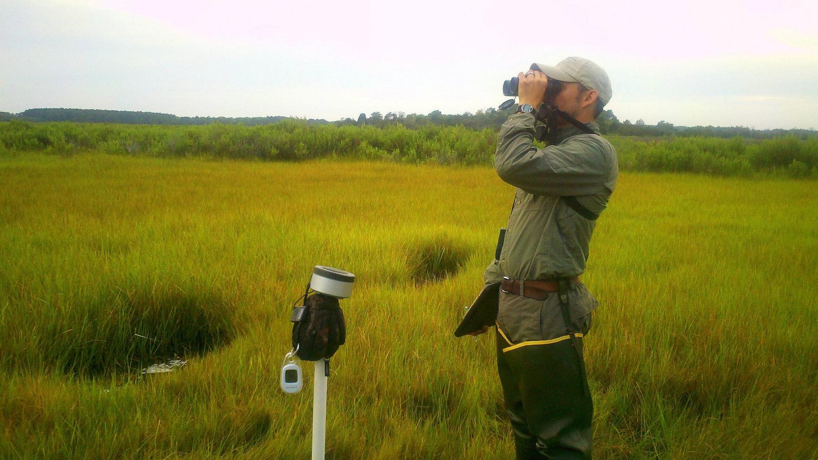 Pickering Creek Audubon Center